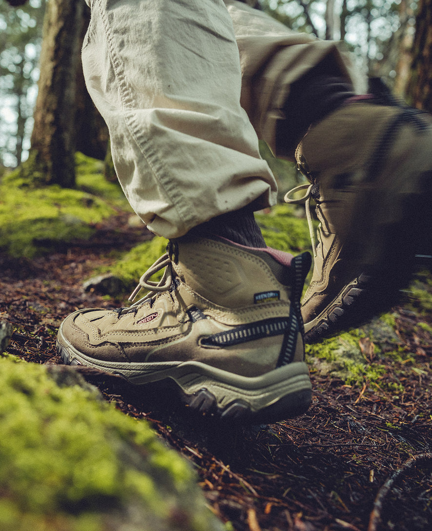 Women's Targhee IV Waterproof Hiking Boot Brindle/Nostalgia Rose | Keen