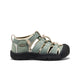 Lily Pad/Black